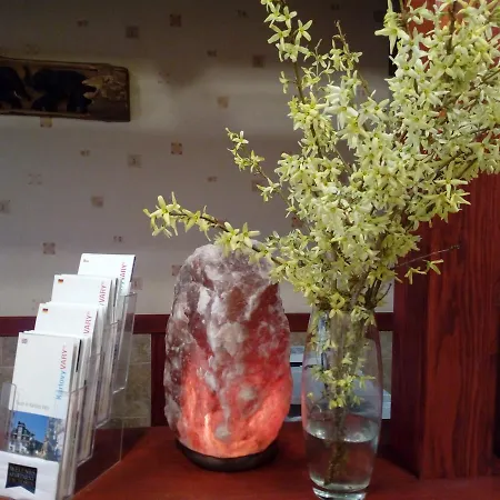 Victoria Aparthotel Karlovy Vary