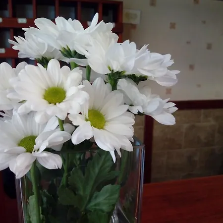 Hotel apartamentowy Victoria 3*