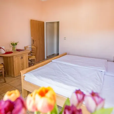 Aparthotel Victoria Karlovy Vary